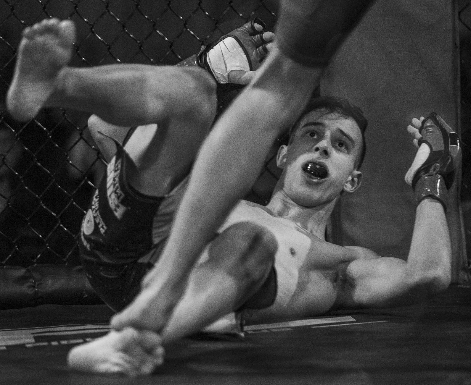 MMA 2.23